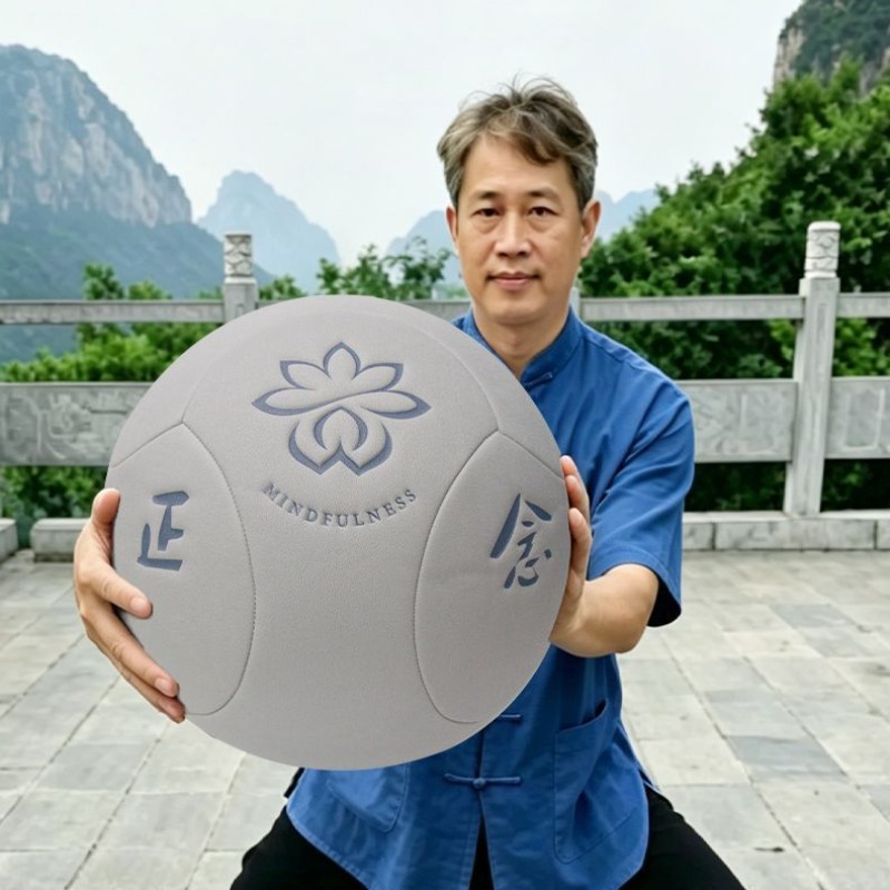 Große Tragbare Tai Chi Gesundh – Yoga Health & Fitness Center Bewertung und Preis